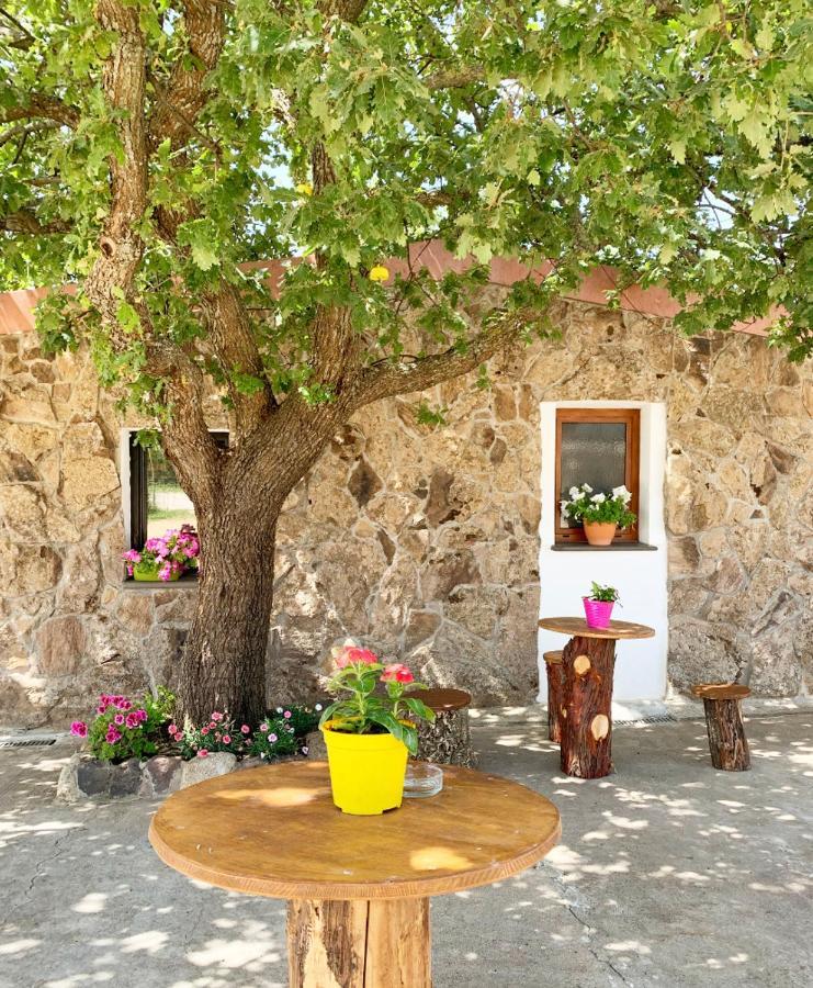 Agriturismo Bonu Suile Silanus Екстер'єр фото