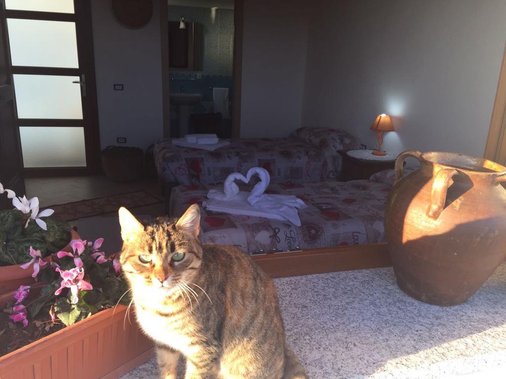 Agriturismo Bonu Suile Silanus Екстер'єр фото